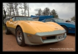 Corvette C3 1980.DNG